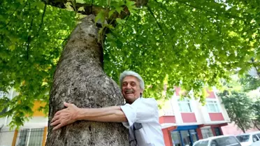 Gençliğinde Diktiği Çınarların Gölgesinde Emekliliğini Yaşıyor