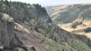 Sarıkamış'taki Örtü Yangını Söndürüldü