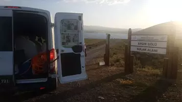 Kars'ta Göllere 100 Bin Yavru Sazan Balığı Bırakıldı