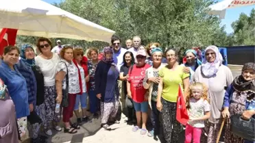 Gülpınar'daki Zeytin Nöbetine Destek Geldi