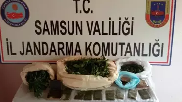 Samsun'da Uyuşturucu Operasyonları