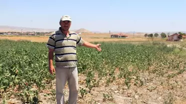 Çiftçileri Sokağa Çağıran Tzob Başkanı'na Çiftçilerden Tokat Gibi Cevap Geldi