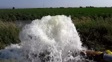 Söke Ovası Suya Kavuştu