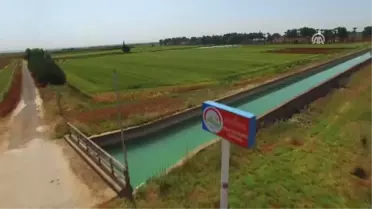 Yeni Mercimek Çeşitleri Verimi Katlayacak