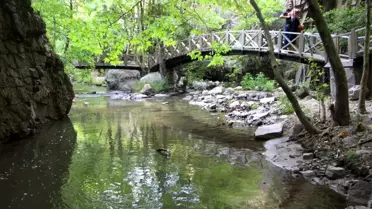 Bu Kanyona Giren Hayran Kalıyor