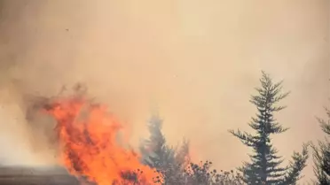 Kahta İlçesinde 7 Hektarlık Alan Yandı