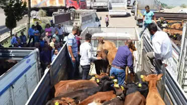 Şırnak'ta Genç Çiftçilere Destek