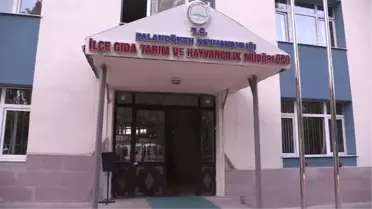 Su Borularında Çilek Ürettiler - Erzurum