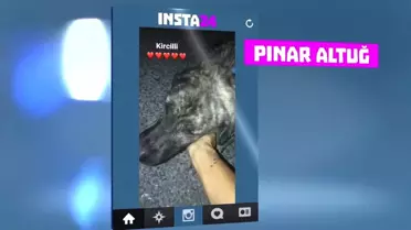 Ünlüler Son 24 Saatte Neler Paylaştı - Insta24 (10.08.2017)