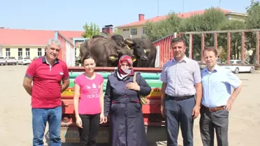 Muşlu Genç Çiftçilere Mandaları Dağıtıldı