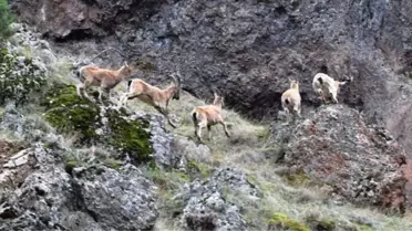 Valilikten 'Dersim Yanıyor' Yalanına Fotoğraflı Cevap