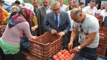 Vali Şimşek, Nektari Hasadı Yaptı