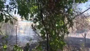 Tunceli'deki Orman Yangınları Tamamen Kontrol Altına Alındı