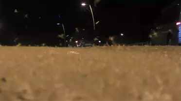 Ardahan'da Kelebeklerin Ölüm Dansı