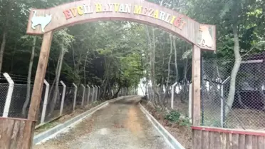 Hayvan Haklarında Samsun Örnek Şehir Gösterilecek