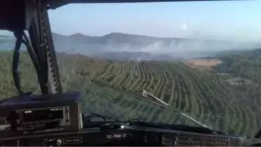 Ayvalık'ta Orman Yangını (3)