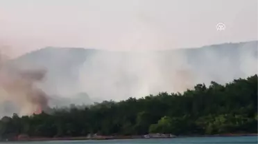 Ayvalık'taki Orman Yangını Söndürüldü