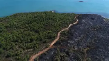 Ayvalık'ta Yanan Ormanlık Alan Böyle Görüntülendi! Yoksa Sabotaj mı?