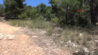 Antalya Cinayet Ormanı
