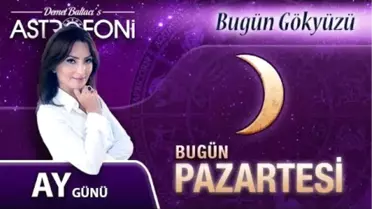 Özgür ve Enerjik Aslan Burcu