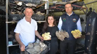 Girişimci Çiftçi Fındığa Alternatif Önerdi