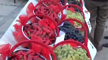 Gaziantep İslahiye'de Üzüm ve Biber Festivali
