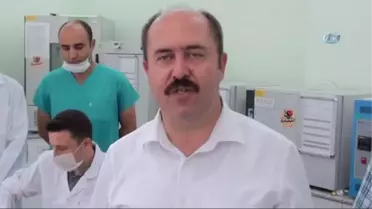 Hayvanlara Kan ve Süt Örneklerinden Gebelik Testi