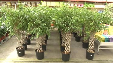 İbb Başkanı Topbaş: 'Çevreye Olan Hassasiyetimiz Gelişmediği Taktirde, Ekolojik Kıyametle...