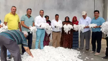 Antbirlik'te Sezonun İlk Pamuğu Alındı