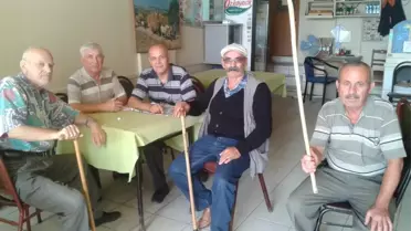 Üzerine Atlayan Köpeklerden Canını Zor Kurtardı