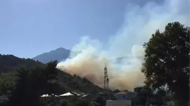 Antalya'da Orman Yangını (1)