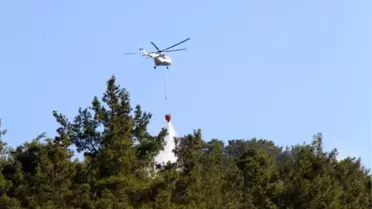 Antalya'da Orman Yangını