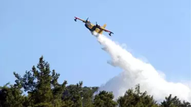 Antalya'daki Orman Yangını