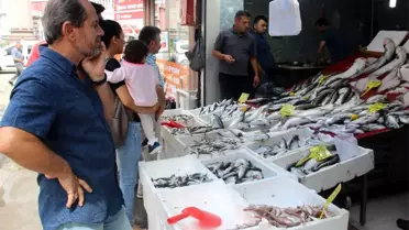 Balıkçılar Yeni Sezondan Umutlu