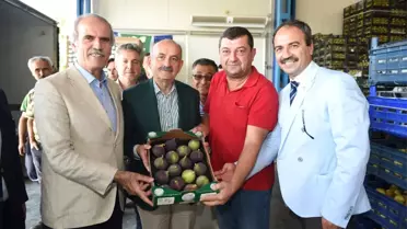 Siyah İncir Üreticisinin Yüzü Gülüyor