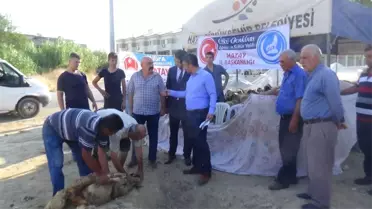 Hatay'da İhtiyaç Sahiplerine Kurban Eti