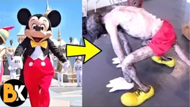 Disneyland Parkları Hakkında Kimsenin Bilmediği 15 Gerçek