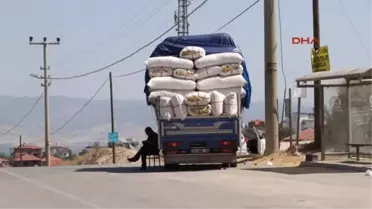 Denizli Kurban Satıcıları Denizli Horozu Kurbanlıktan Pahalı Hale Geldi