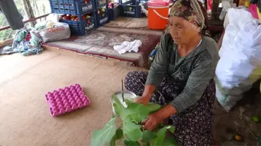 Anadolu'nun Unutulmaya Yüz Tutmuş Teleme Yoğurdu