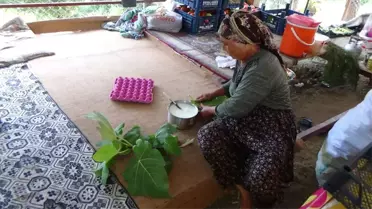 Bu da 'Teleme' Yoğurdu