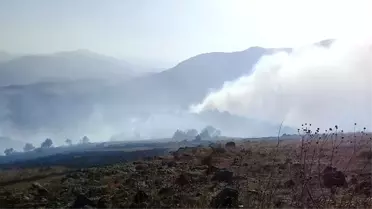 Erzurum'da Orman Yangını