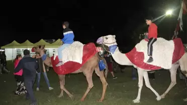 Deve Turu İlgi Çekiyor