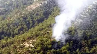 Fethiye'de Alevler 2 Dönüm Çam Ormanına Zarar Verdi