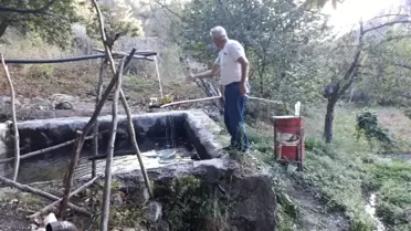 İlginç Domuz Kovma Yöntemi