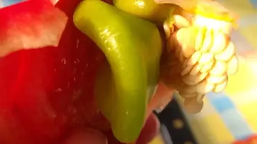 Kırmızı Biberin İçinden Yeşil Biber Çıktı