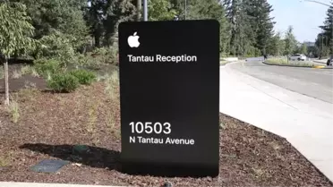 Yeni İphone'a İlk Tepkiler - San