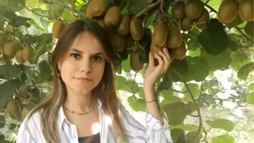 Silifke'de Yılın İlk Kivi Hasadı Yapıldı