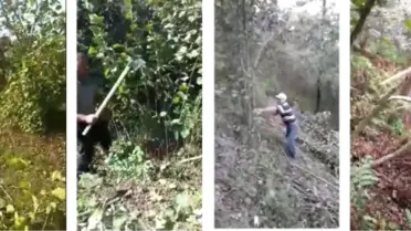 Fındık Üreticisi Mitingi Hazırlanıyor