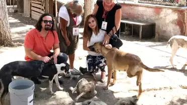 Batman'a Hayvan Bakım Evi Yapılacak