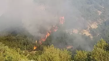 Dha Yurt  - Eskişehir'de Orman Yangını (2)